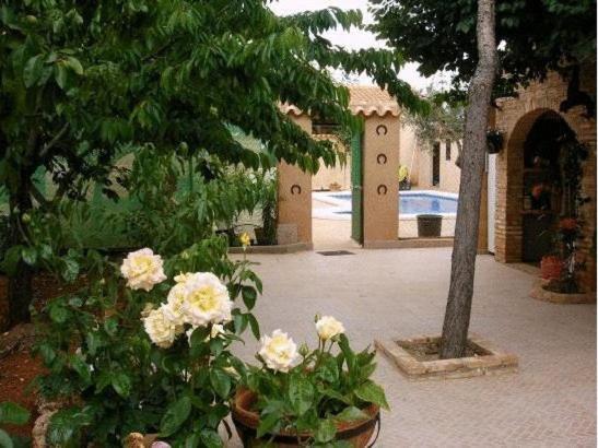 Casa Rural Entre Volcanes De ألماغرو المظهر الخارجي الصورة